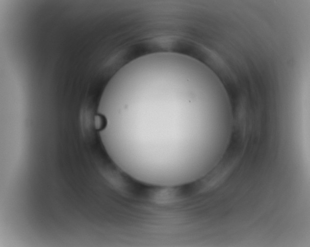 X0000113910122200910011456