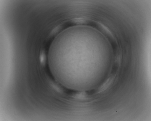 X0000113910124200910011456