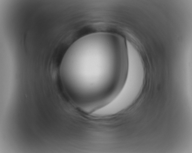 X0000113910125200910011456