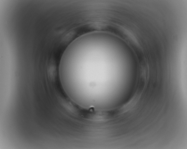 X0000113910128200910011456