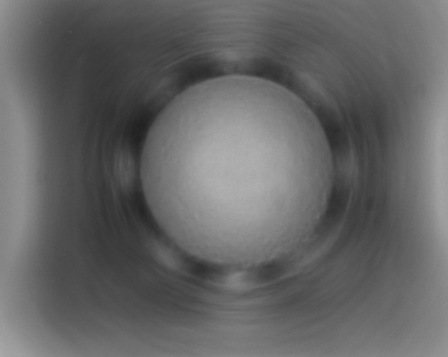 X0000113910130200910011456