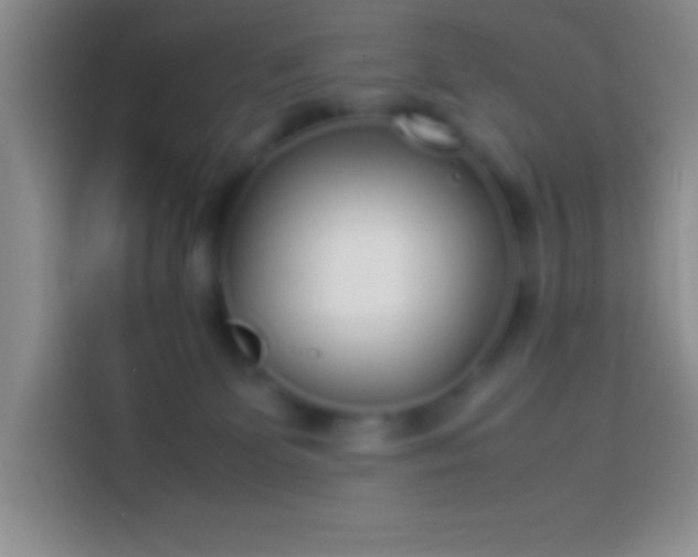 X0000113910131200910011456