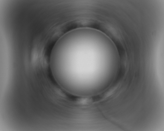 X0000113910135200910011456