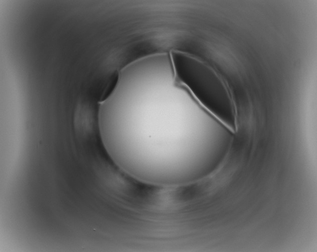 X0000113910136200910011456