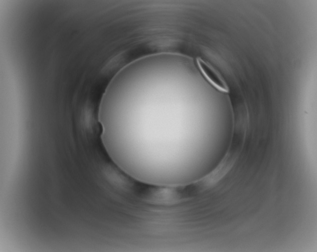 X0000113910140200910011456