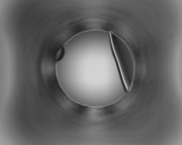 X0000113910141200910011456