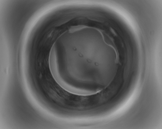 X0000113910143200910011456