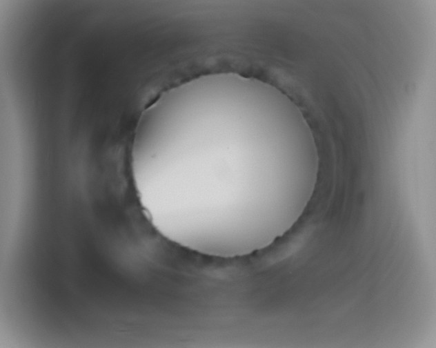 X0000113910144200910011456