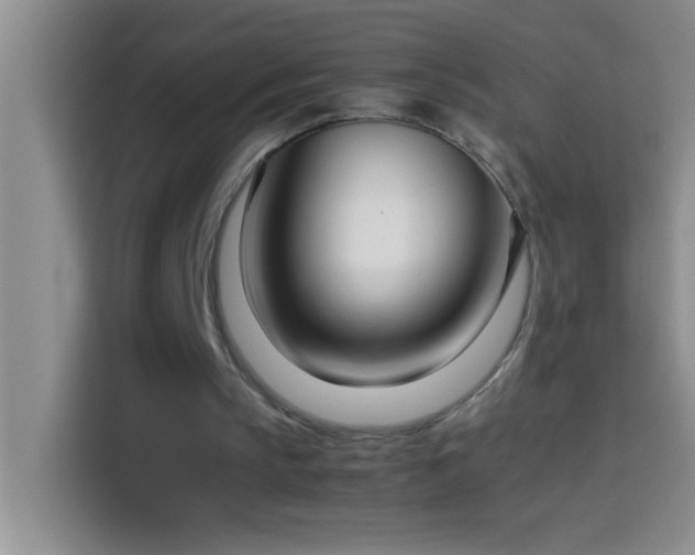 X0000113910145200910011455