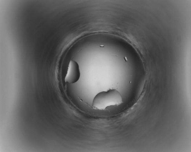 X0000113910146200910011455