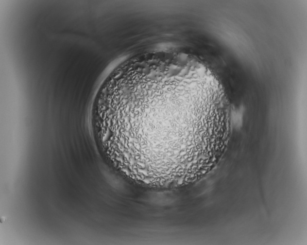 X0000113910147200910011455