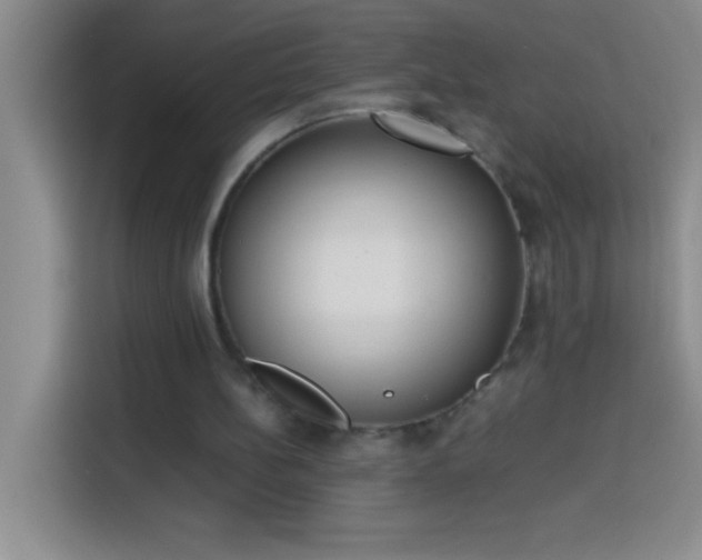 X0000113910148200910011455