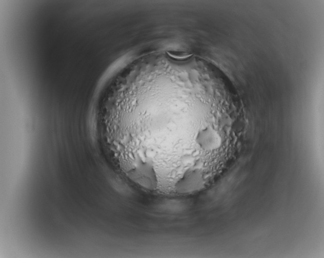 X0000113910149200910011455