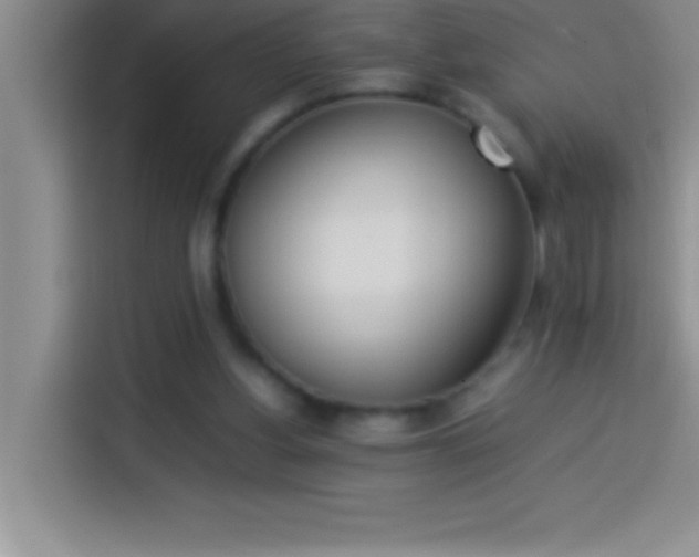 X0000113910156200910011456