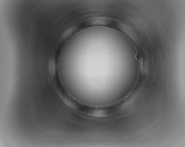 X0000113910157200910011456