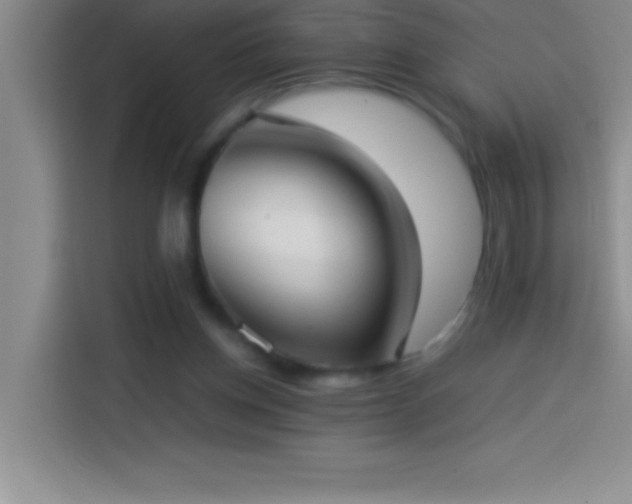 X0000113910158200910011456