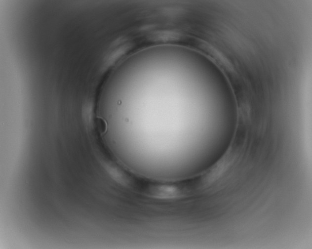 X0000113910159200910011456