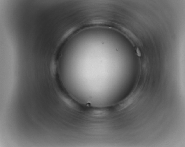 X0000113910160200910011456