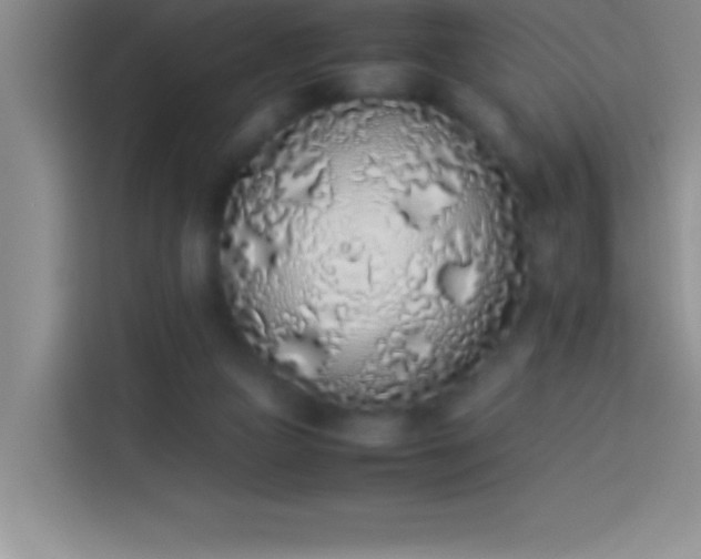 X0000113910161200910011456