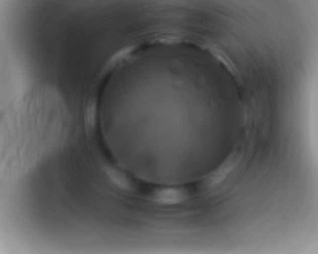 X0000113910163200910011456