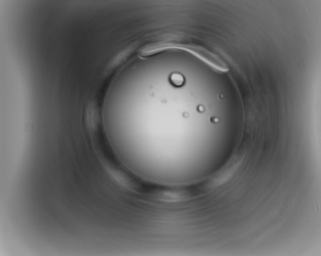 X0000113910164200910011456