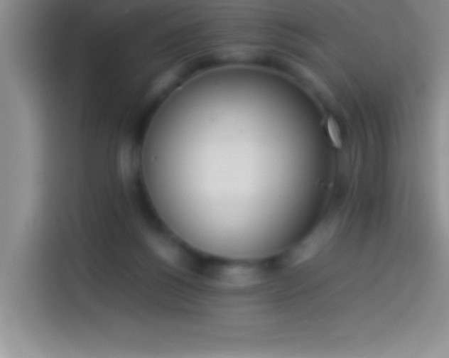 X0000113910168200910011456