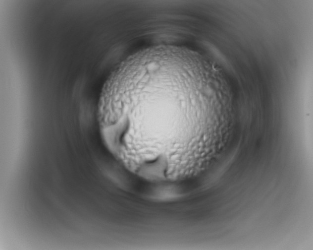 X0000113910169200910011456