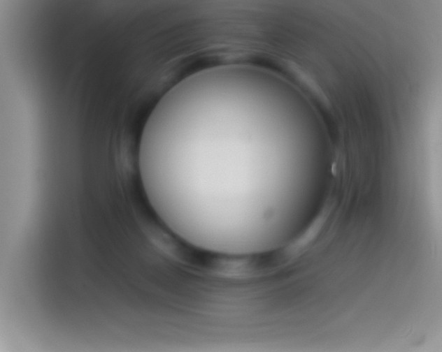 X0000113910170200910011456