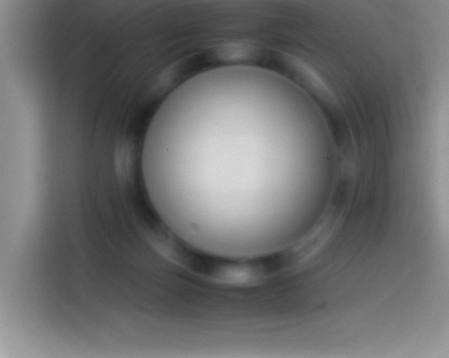 X0000113910171200910011456