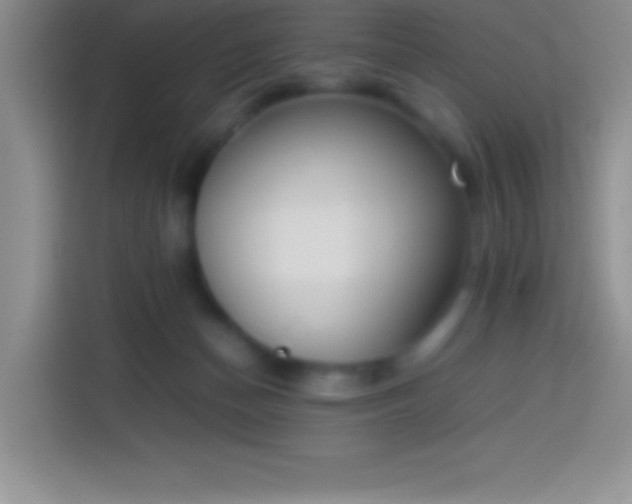 X0000113910174200910011456