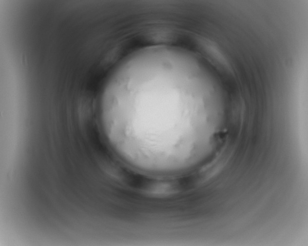 X0000113910175200910011456