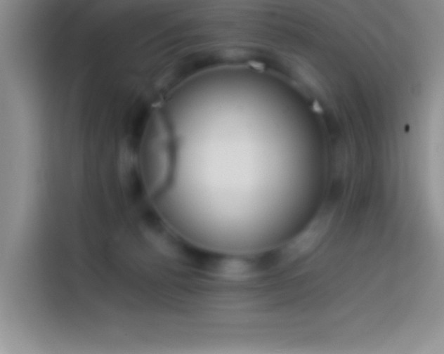 X0000113910176200910011456