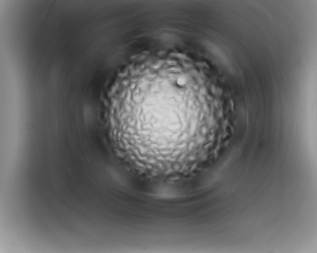 X0000113910177200910011456