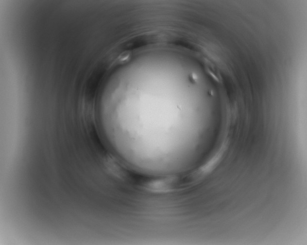 X0000113910178200910011456