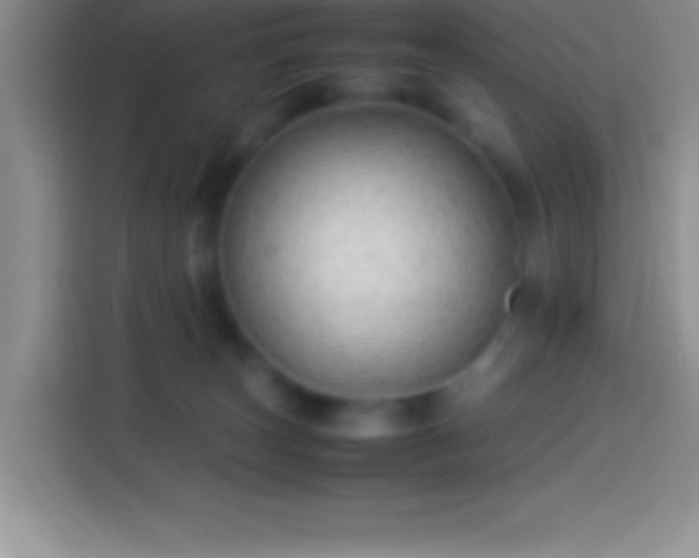 X0000113910179200910011456