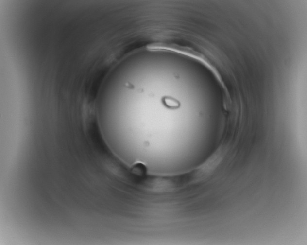 X0000113910180200910011456