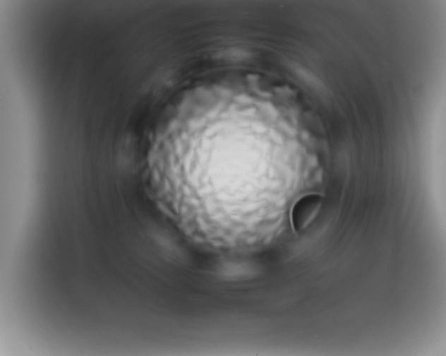 X0000113910181200910011456