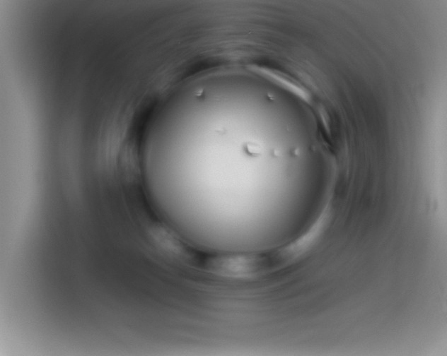 X0000113910182200910011456