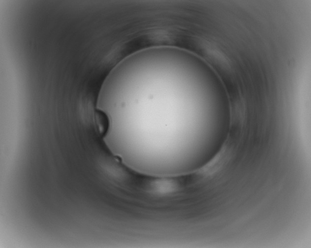 X0000113910183200910011456