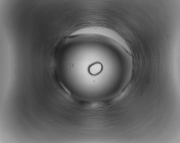 X0000113910184200910011456