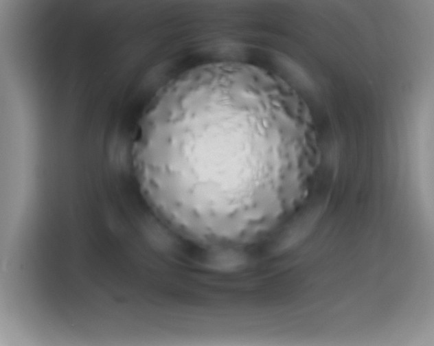 X0000113910185200910011456