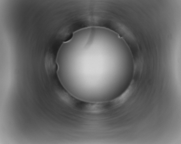 X0000113910186200910011456