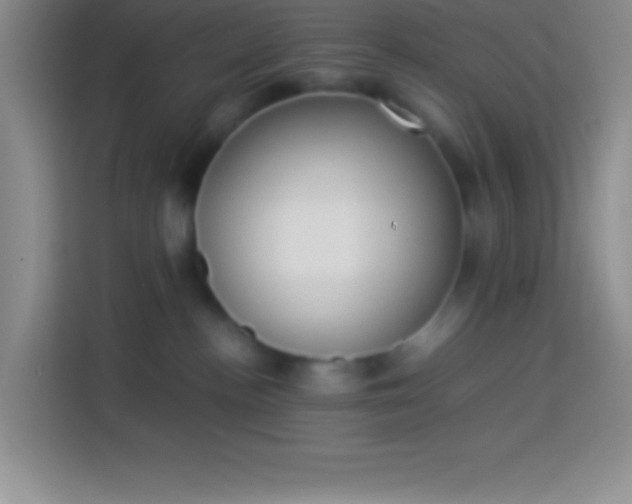 X0000113910188200910011456