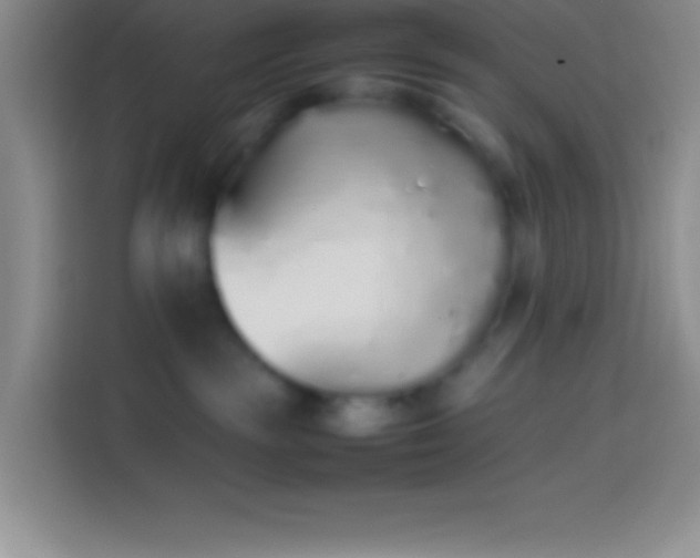 X0000113910189200910011456