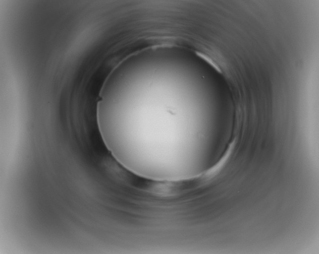 X0000113910190200910011456