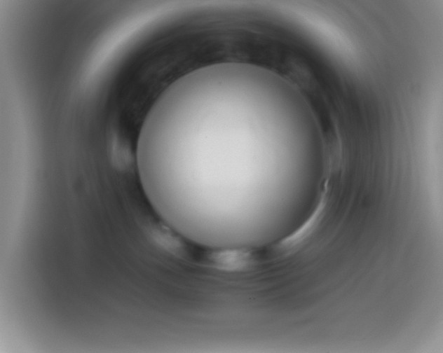 X0000113910191200910011456