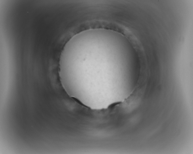 X0000113910192200910011456