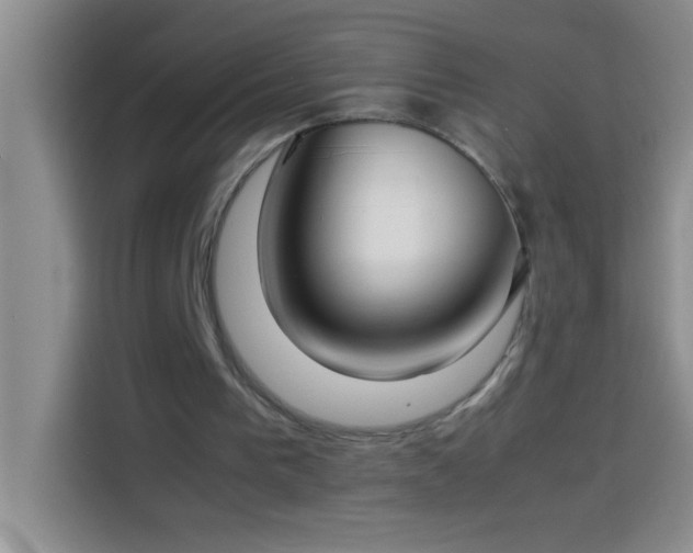 X0000113910193200910011455