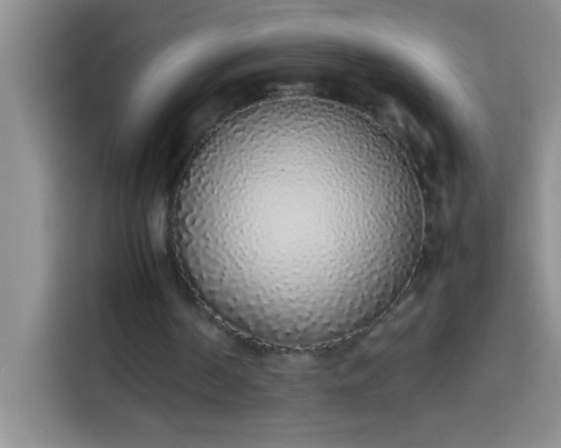 X0000113910194200910011455