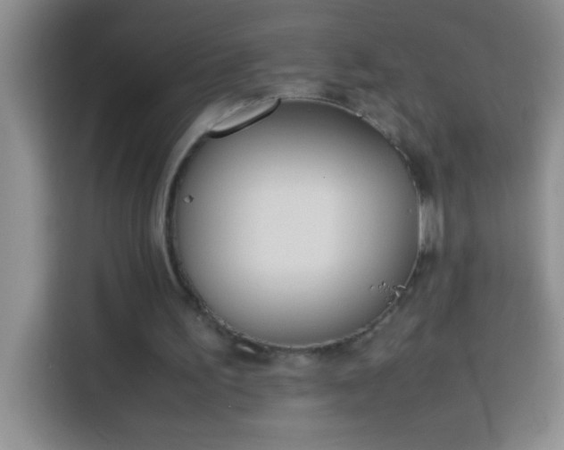 X0000113910195200910011455